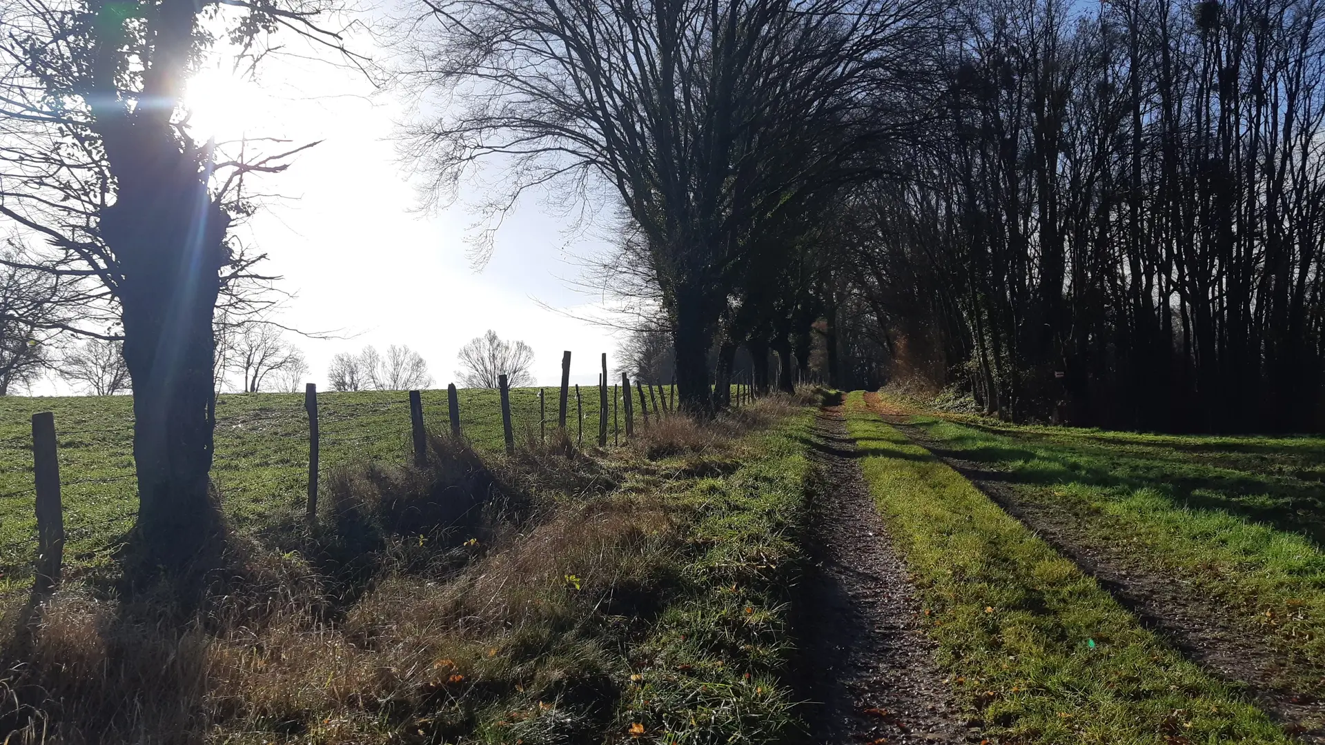 Sur les chemins de St Didier d'Aussiat