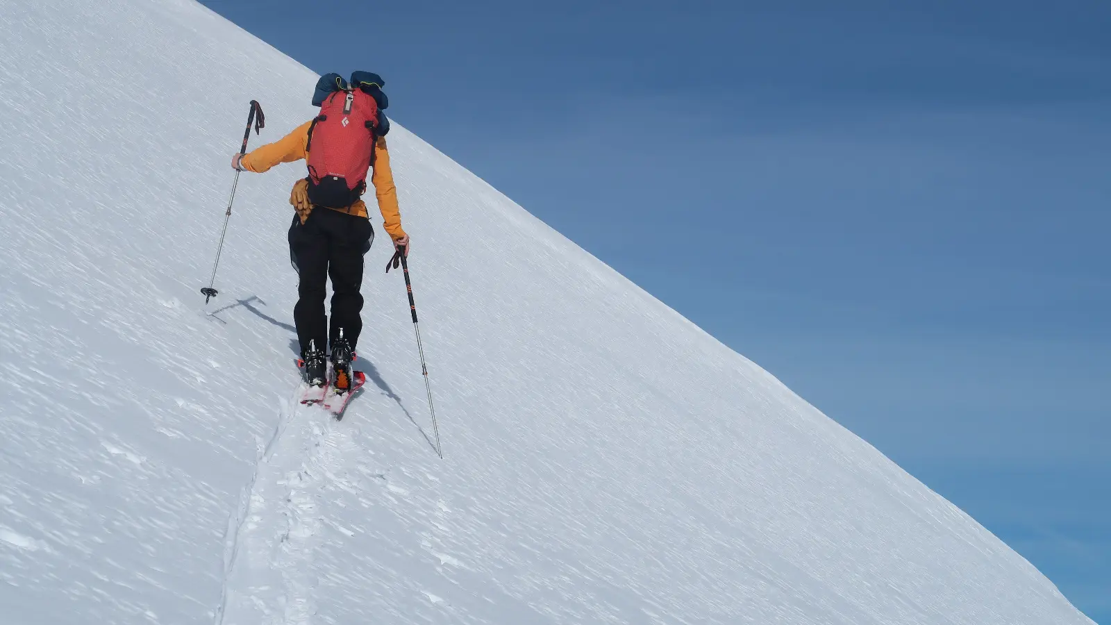 Activité ski de randonnée