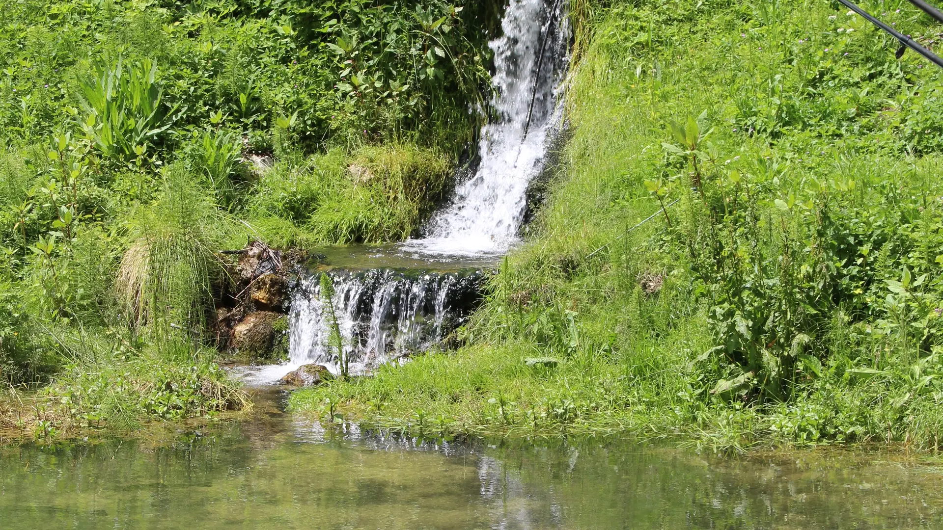 L'étang de pêche