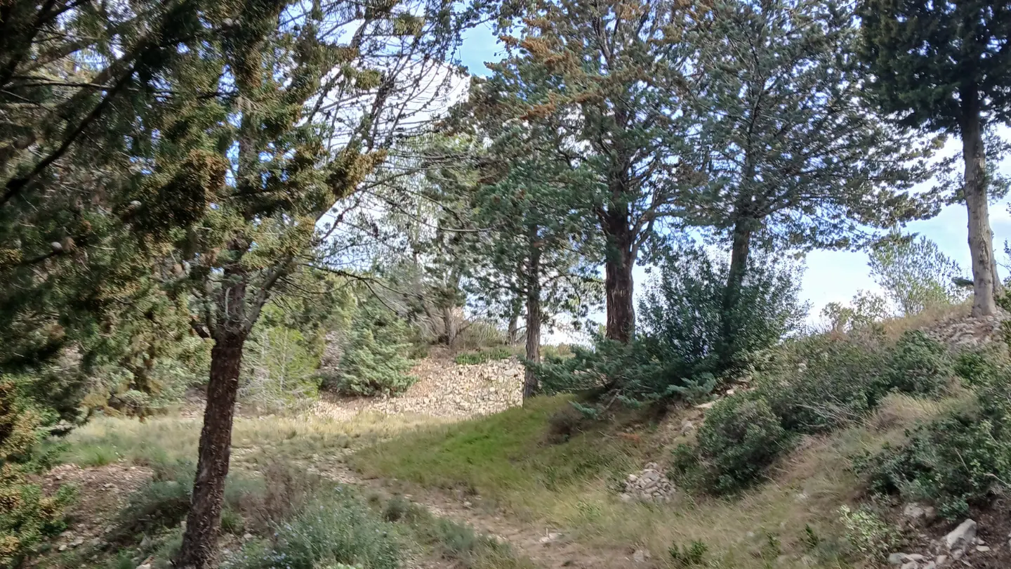 La Lèque_Saint-Rémy-de-Provence