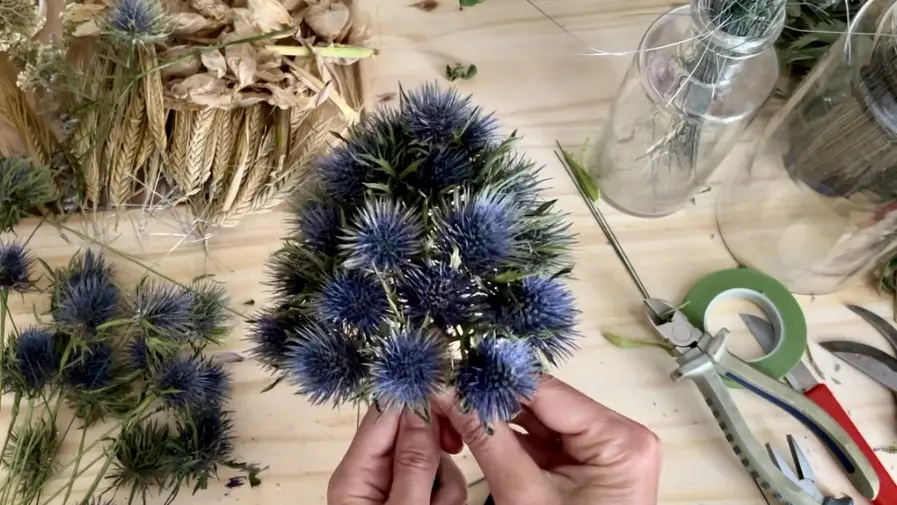 Lili-Clémence Bethemont_Roanne