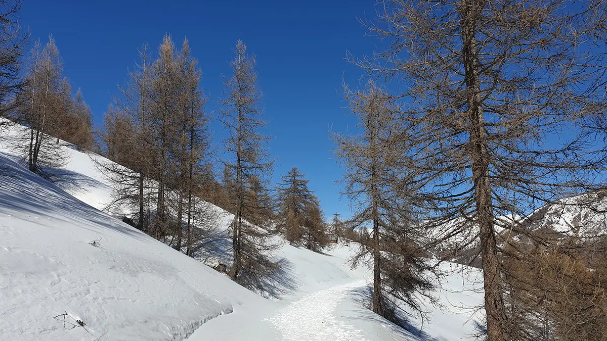 parcours raquettes valdemars