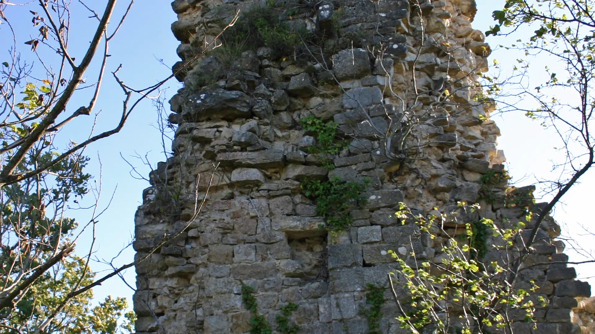 Ruines de Montfort