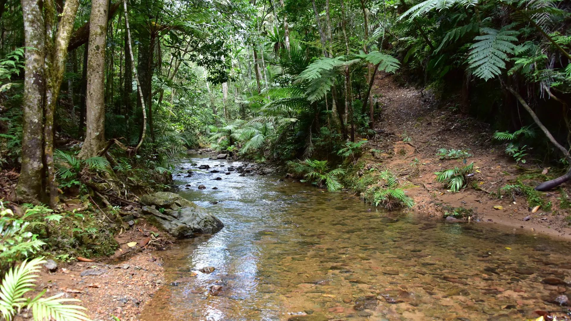 Le creek du camp Tell