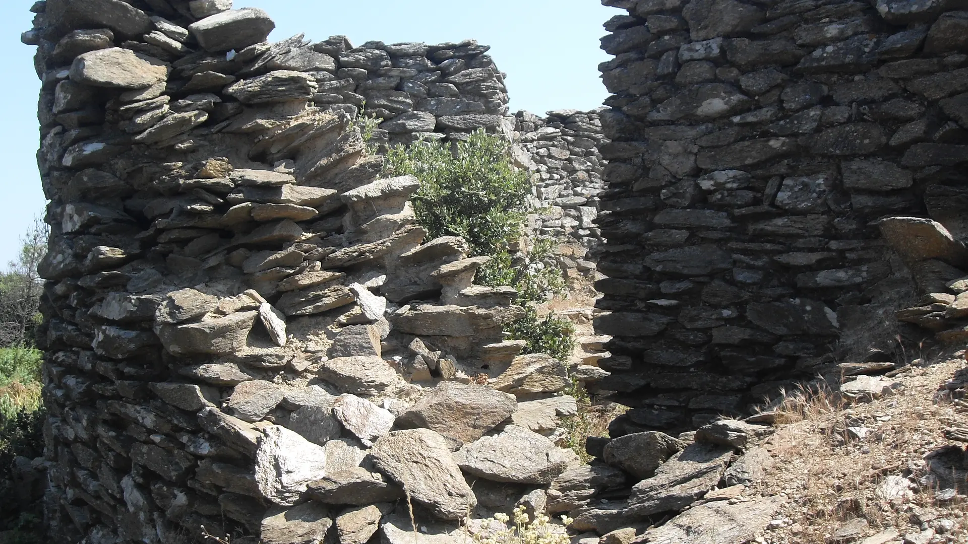 Sommet du Laquina à Collobrières