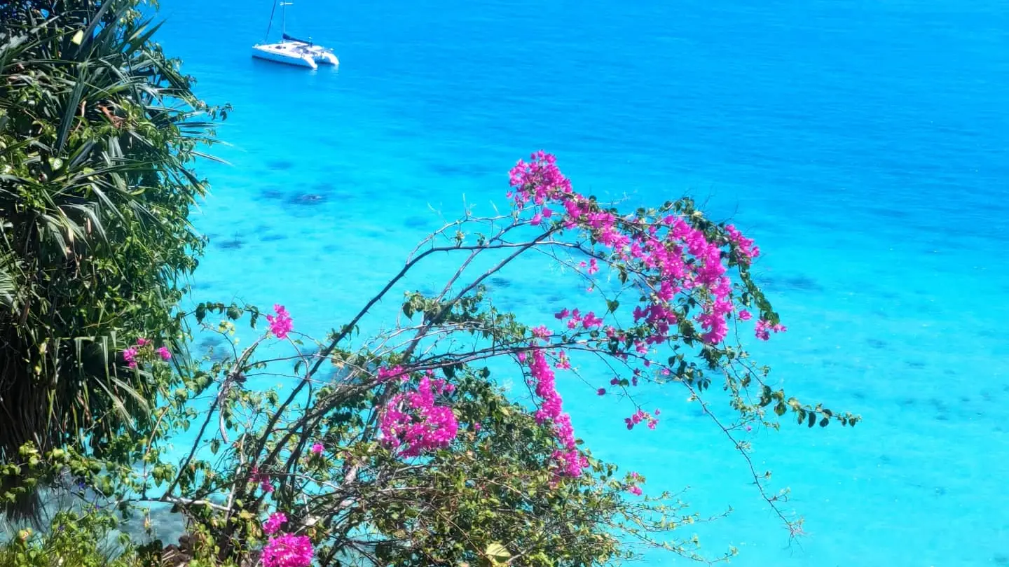 Croisière en Catamaran