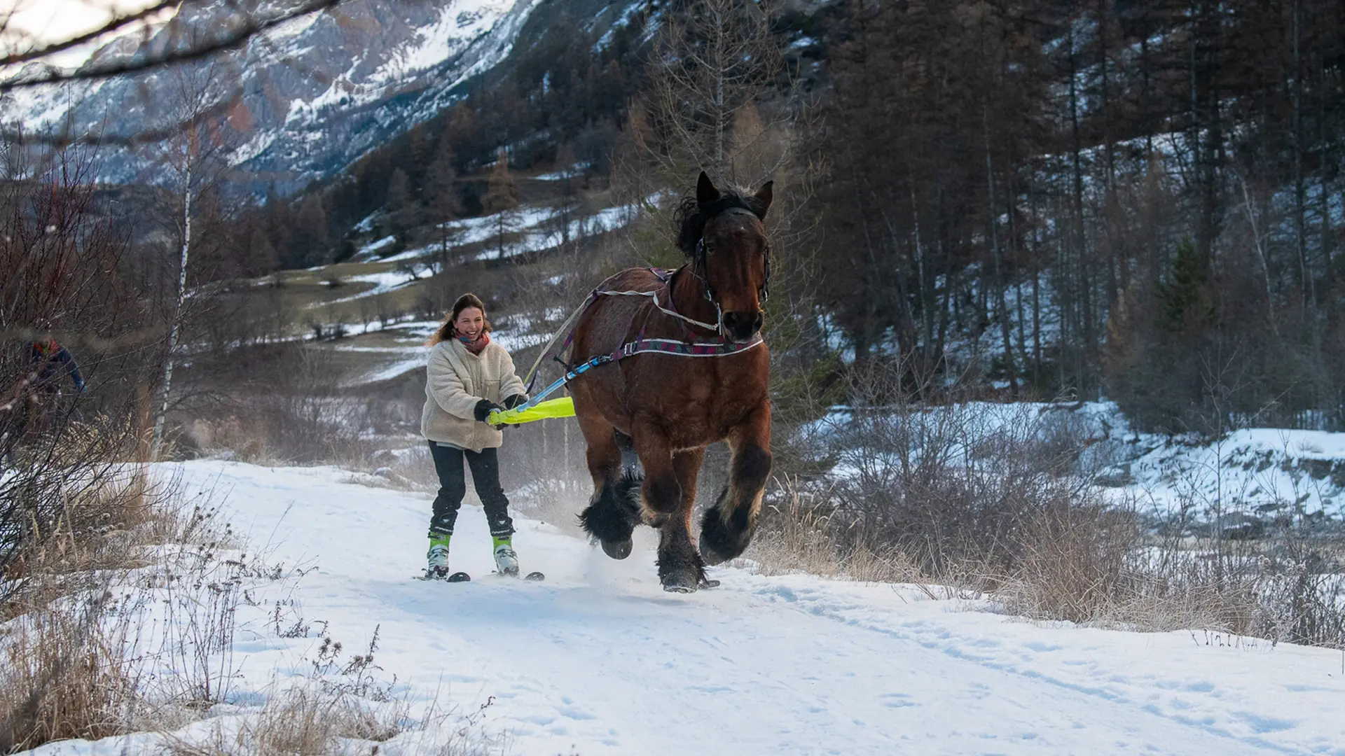 Provence Equiservices - Ski joëring