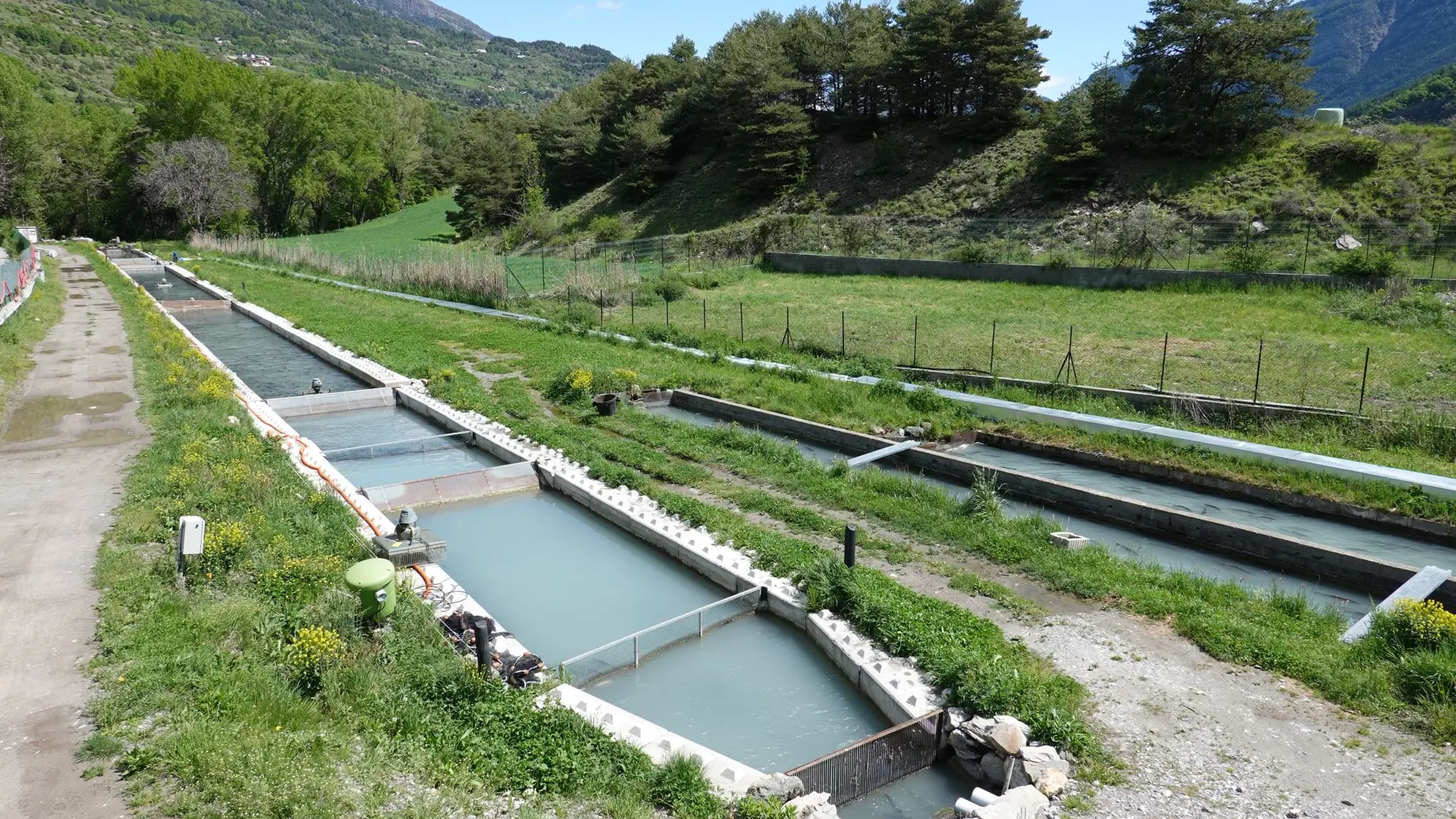 Pisciculture des Ecrins CHÂTEAUROUX-LES-ALPES
