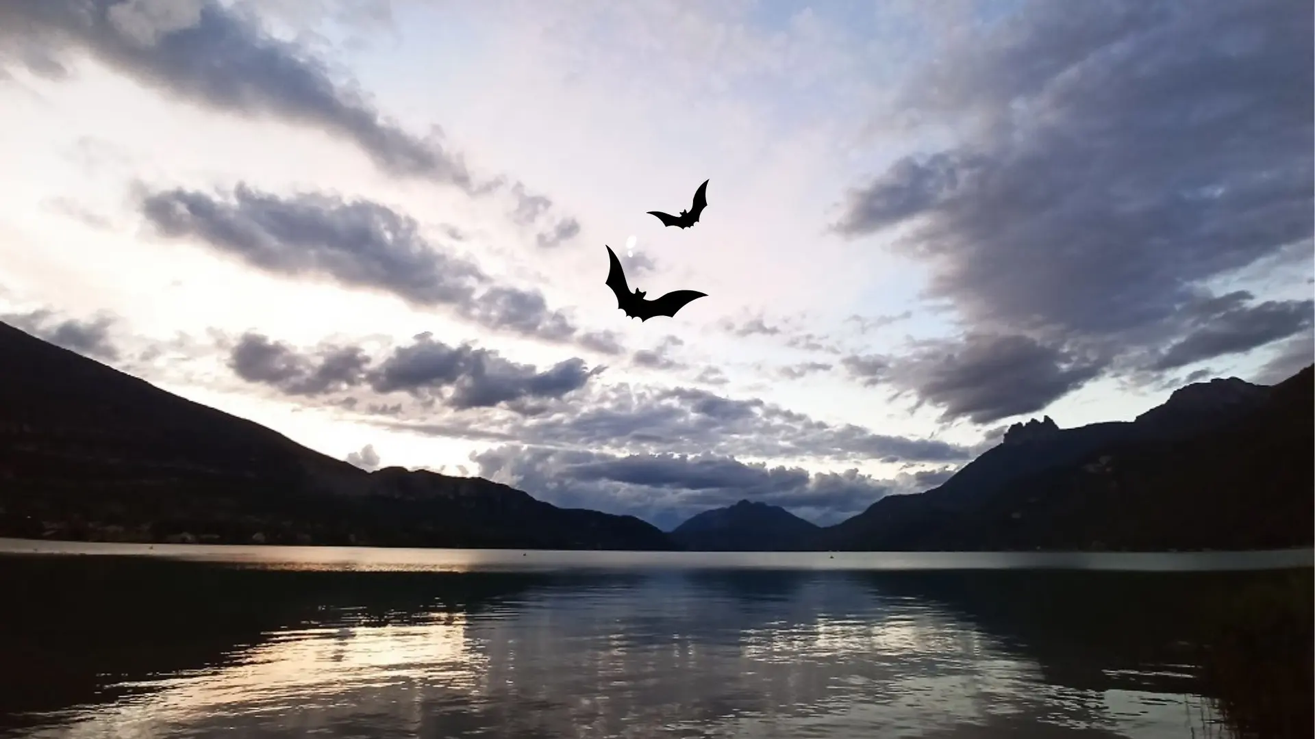 Sortie crépusculaire