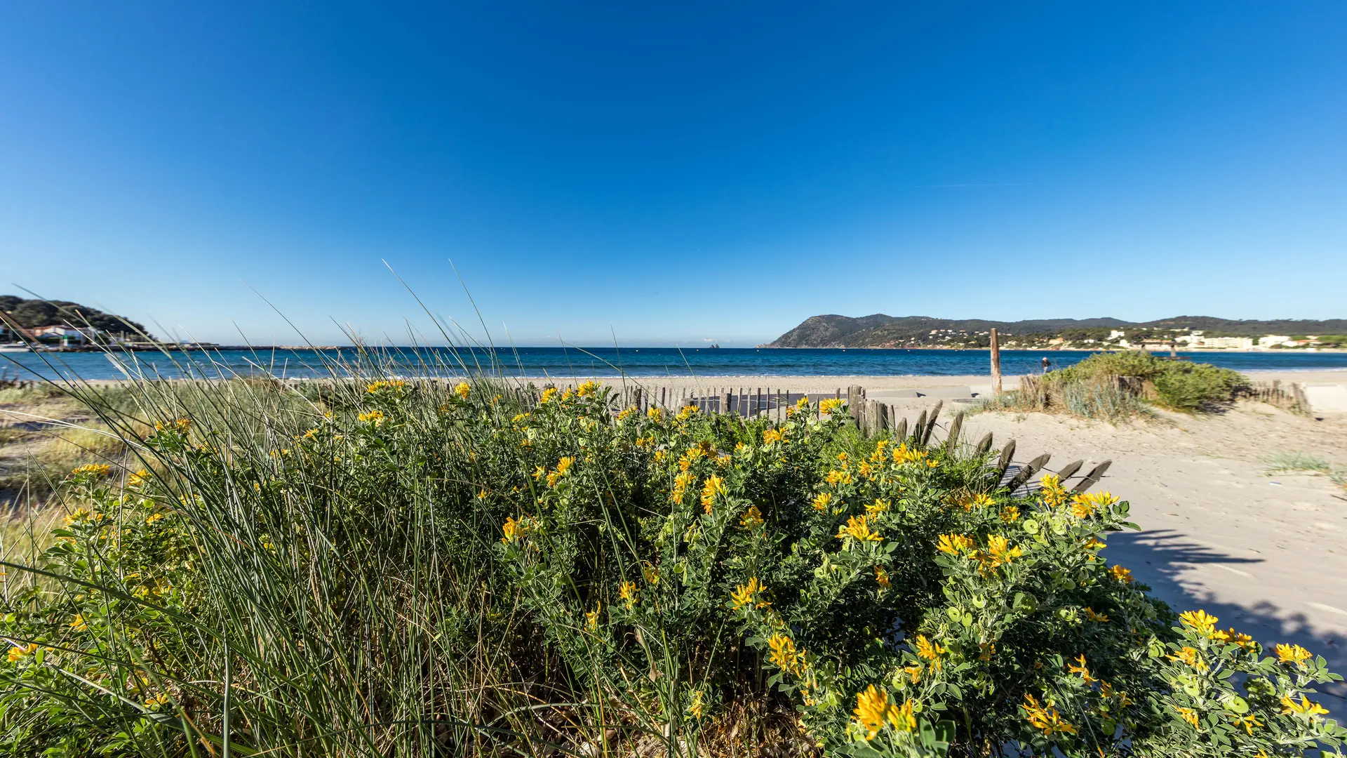 Plage de sable fin à proximité d'un parc