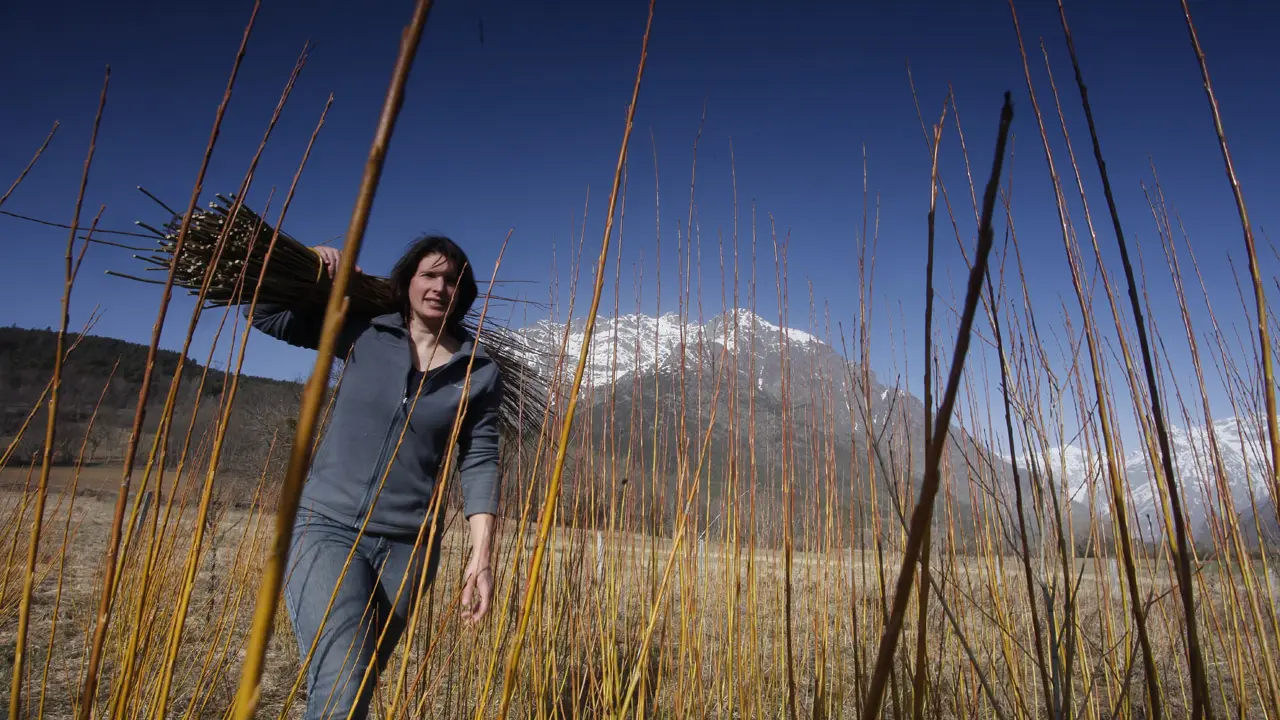 Atelier Amarine, Vannerie