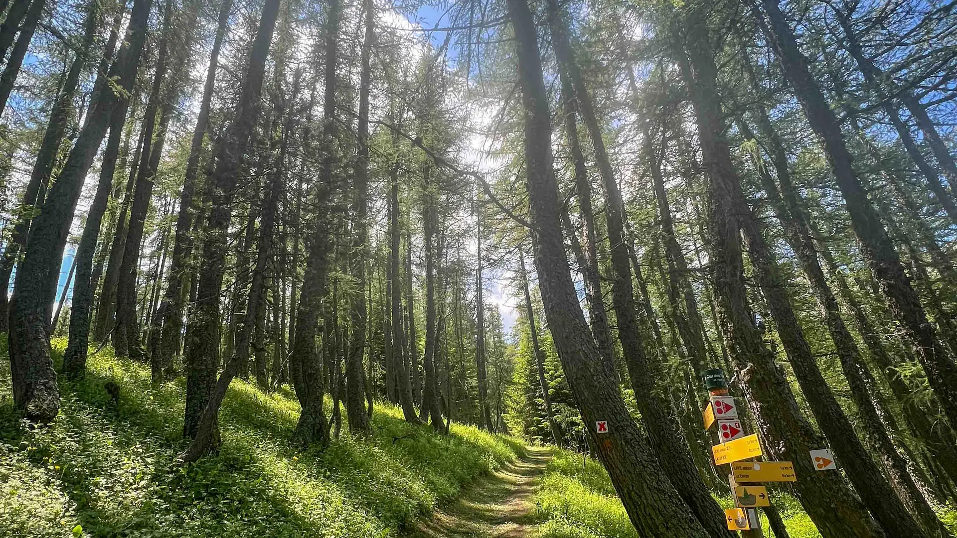 Sentier de la Cuque à Laye