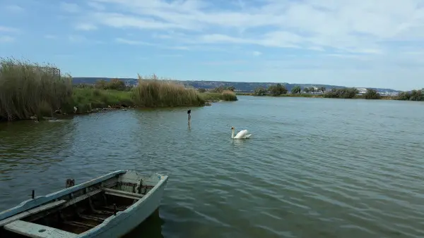 Marignane : Randonnée Nature au village des pêcheurs