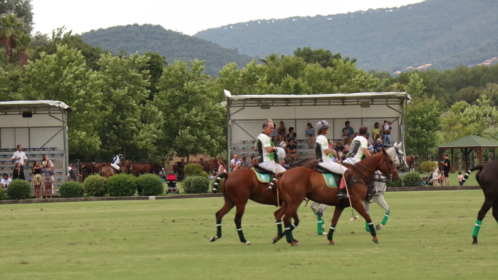 Polo exhibition week et practrices
