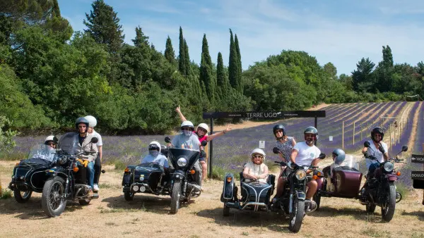 Circuit des lavandes et vignobles en sidecar : 2h,4h ou 6h (juin à septembre)