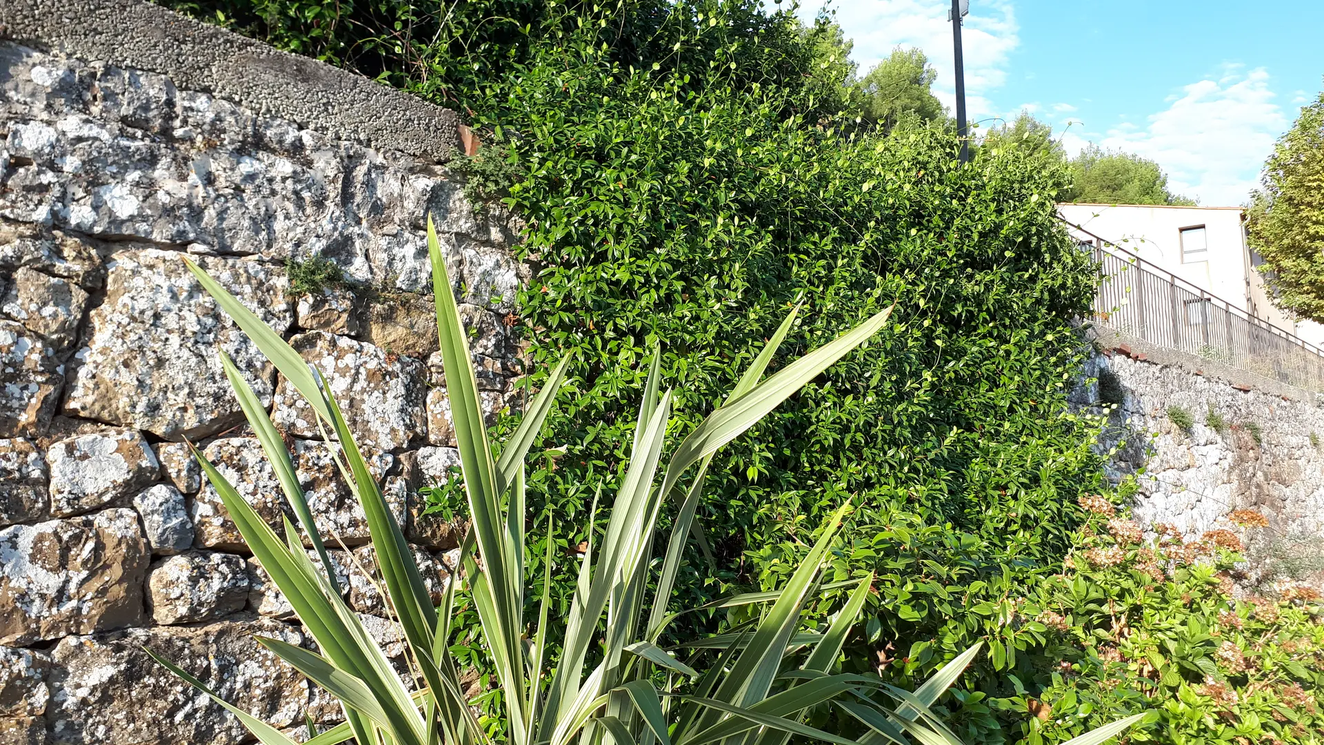 Voie descendant du village