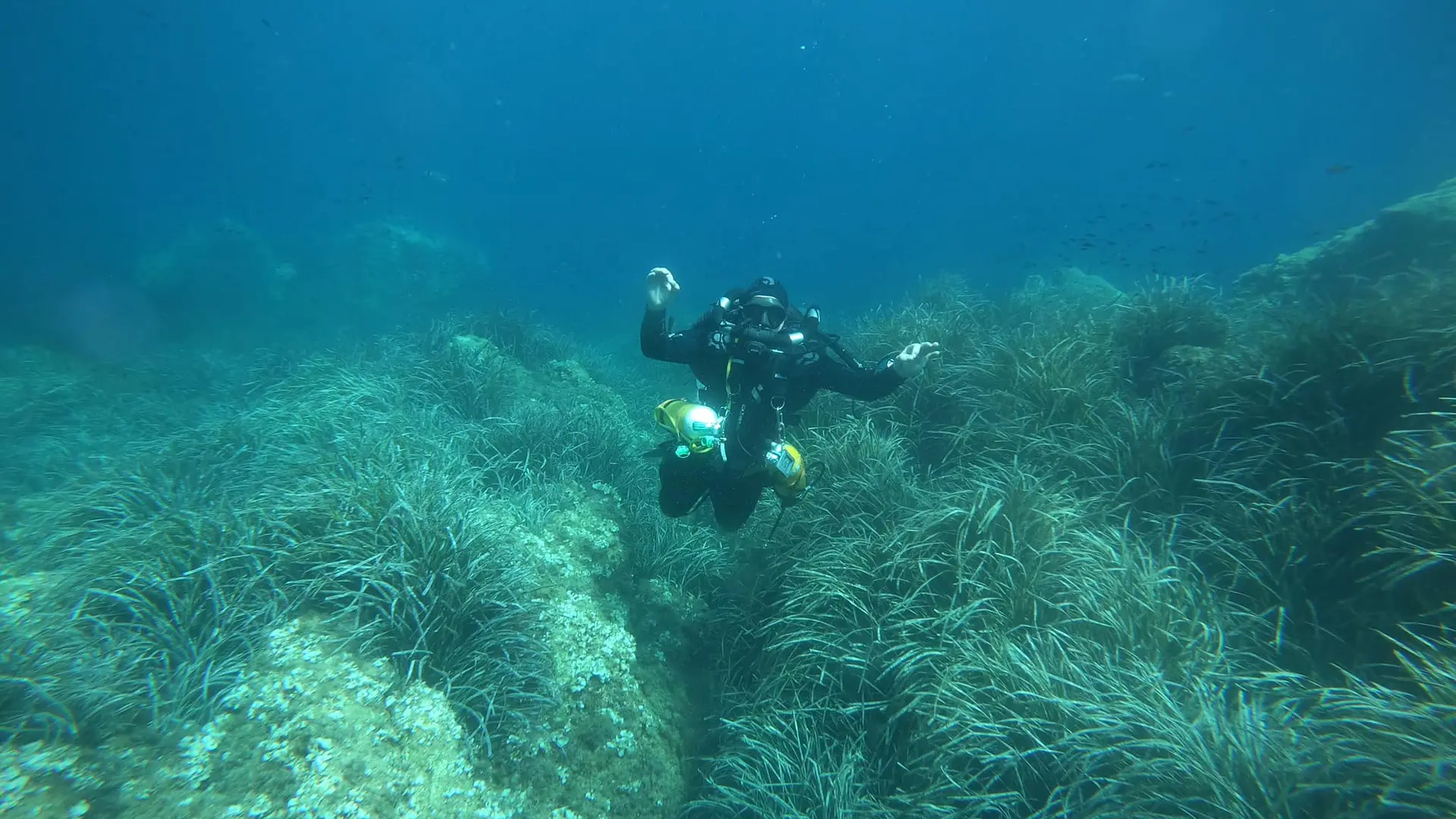 plongée sous marine