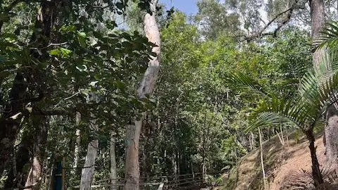 Accès aux personnes à mobilité réduite