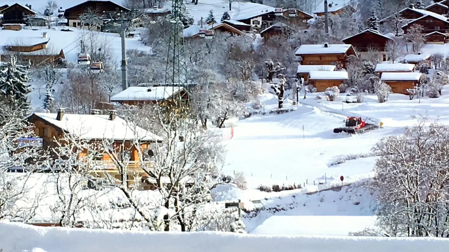 Vue sur les les pistes de ski de la Princesse depuis le séjour
