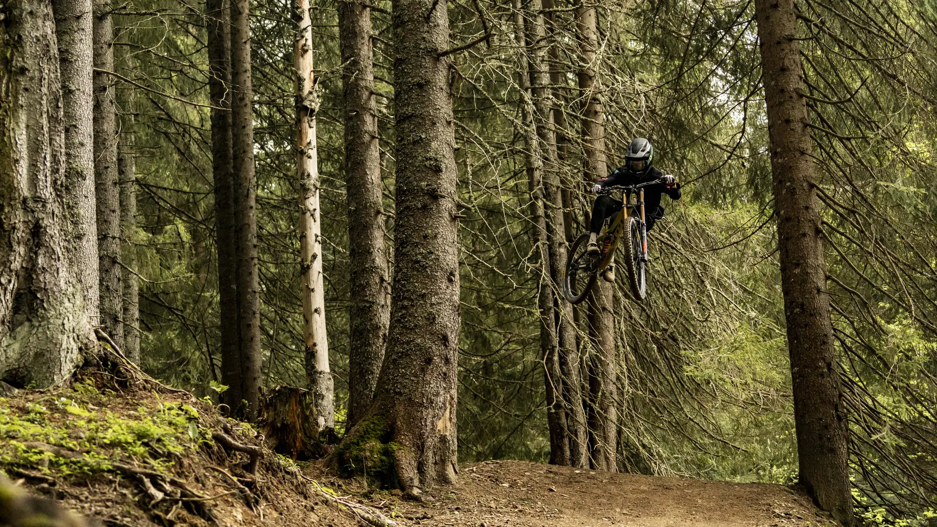 Piste VTT Vink Line partie inférieure -Bike Park de Châtel
