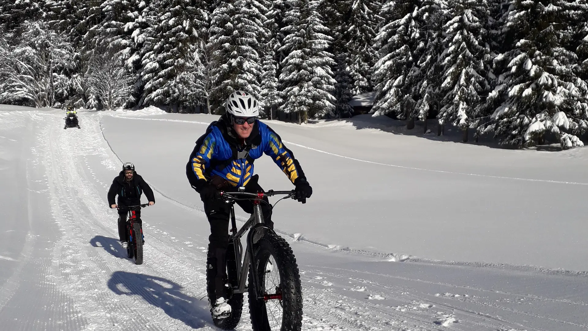 Fat Bike