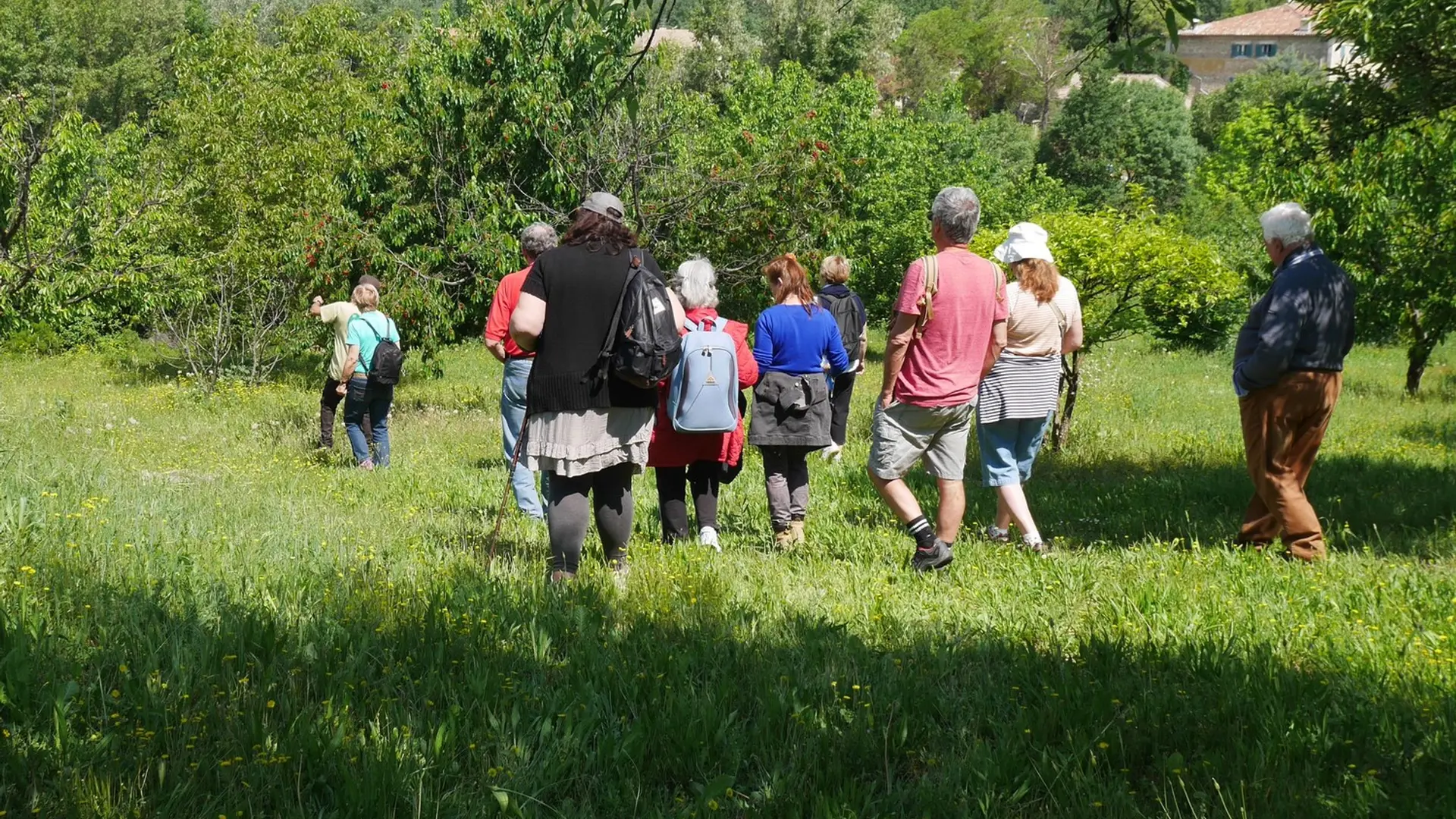 Verger villageois de Grambois