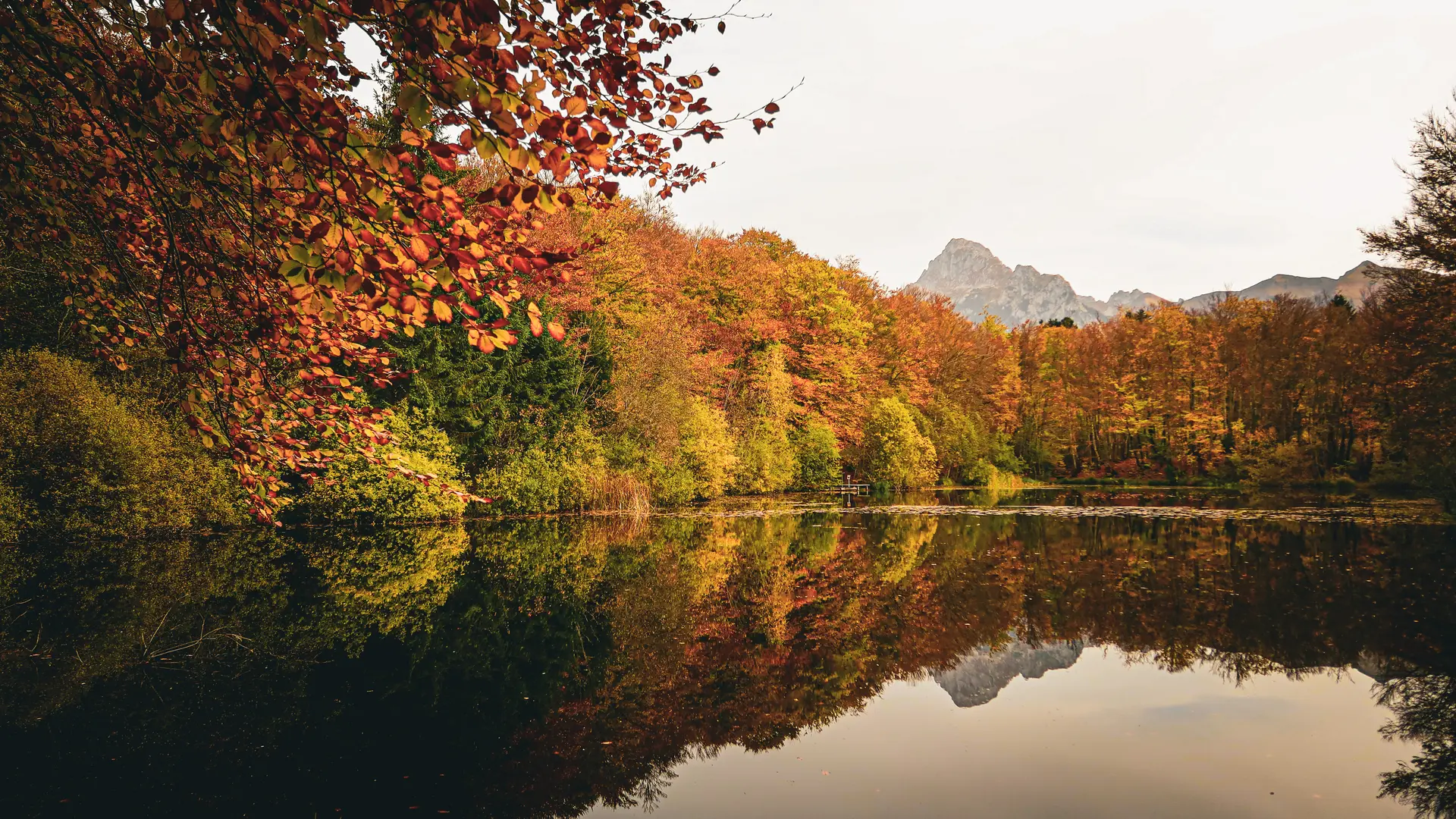 Paysage automnal
