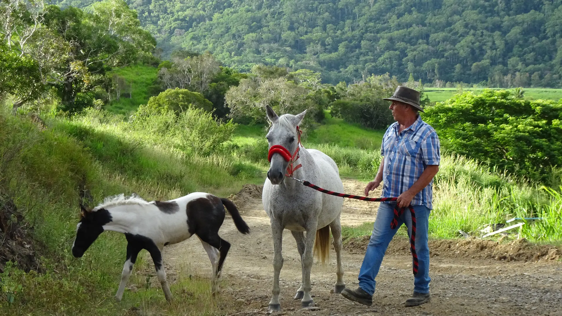 Les chevaux de Raymond - Randonnée équestre - Gîte les 3 boucles