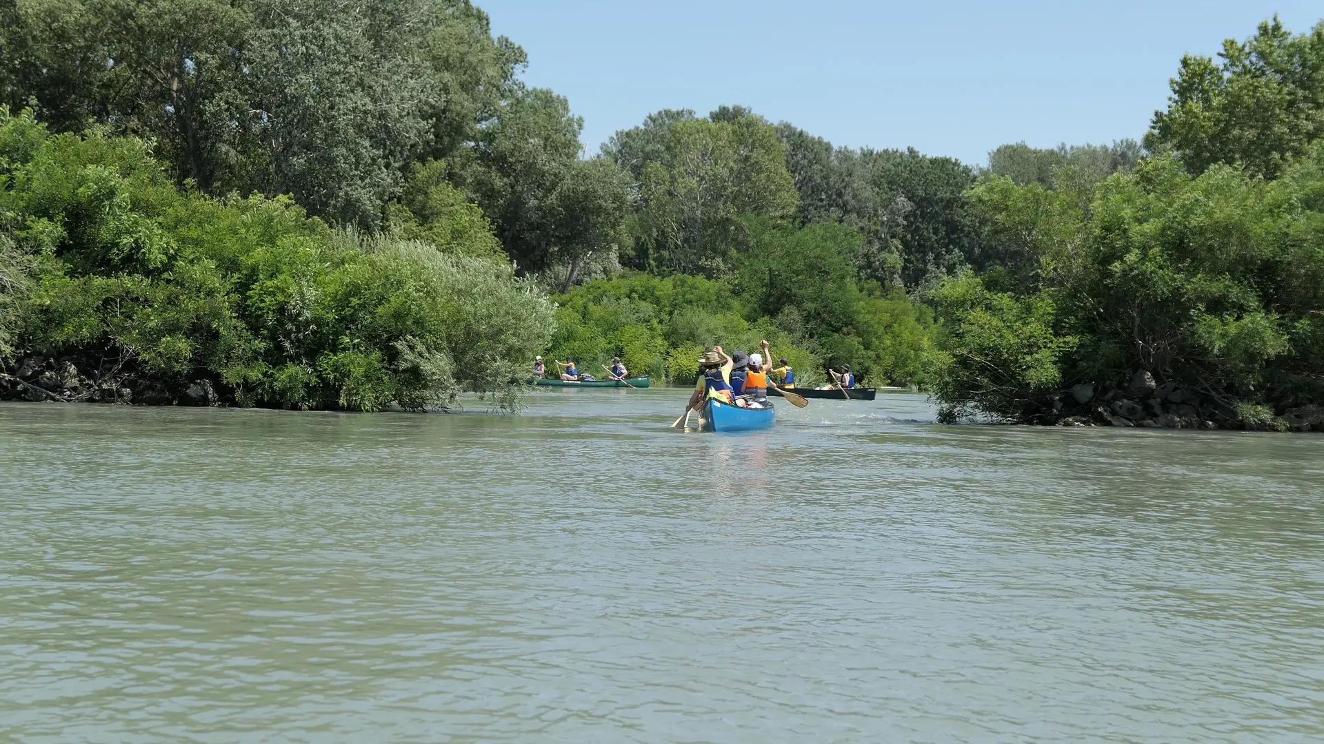 Robinson Canoé, le Petit Rhône à canoé sauvage à Arles