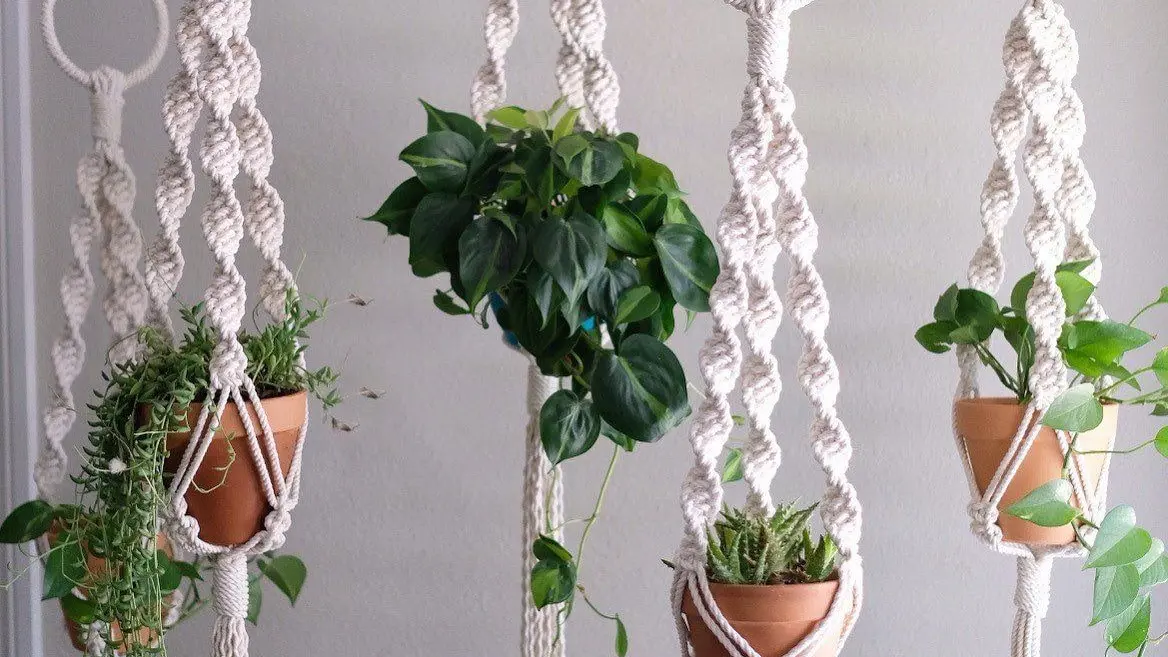 Macramé Bois Flotté