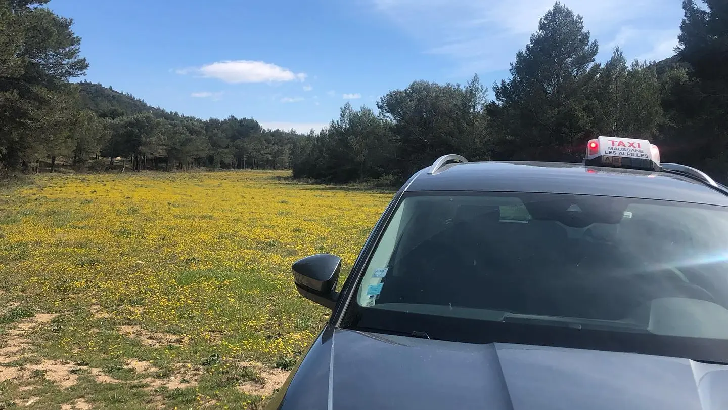 Taxi Maussane dans les Alpilles