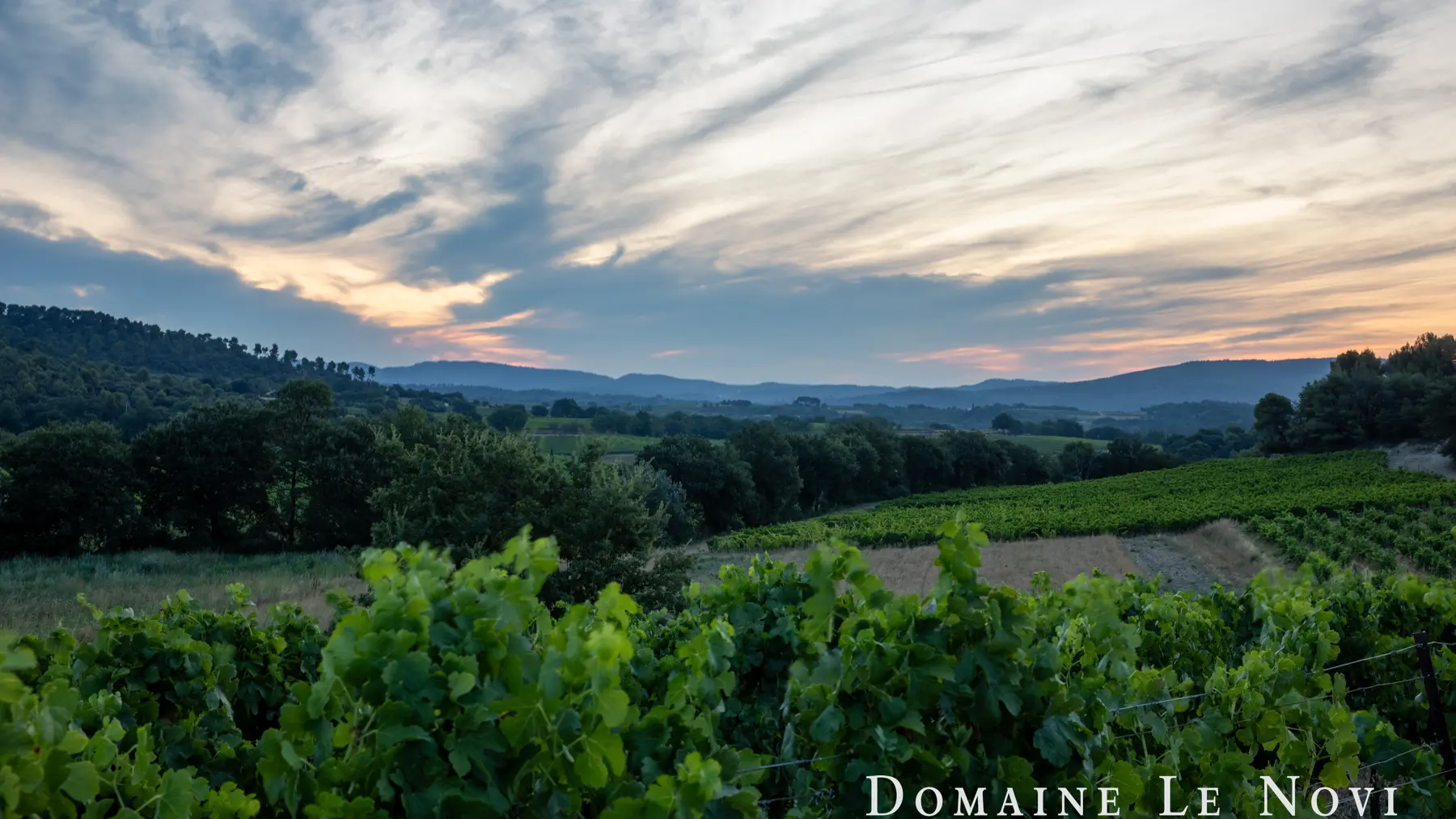 Domaine Le Novi