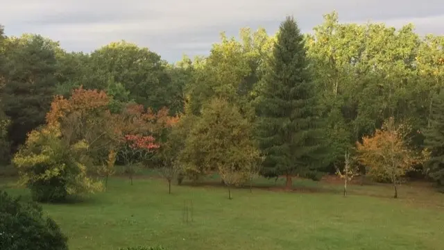 parc de 8ha