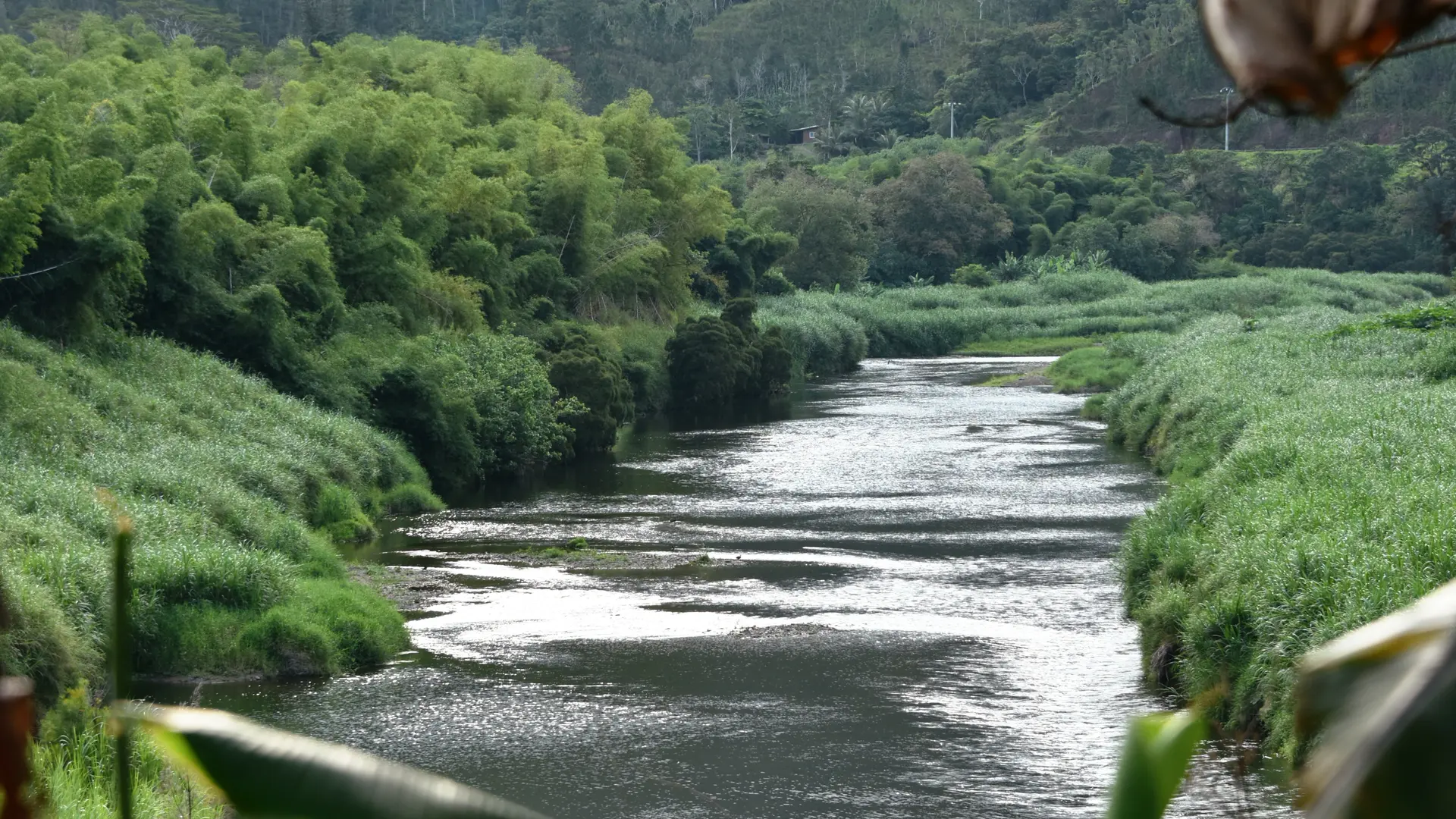 La rivière Pombéï