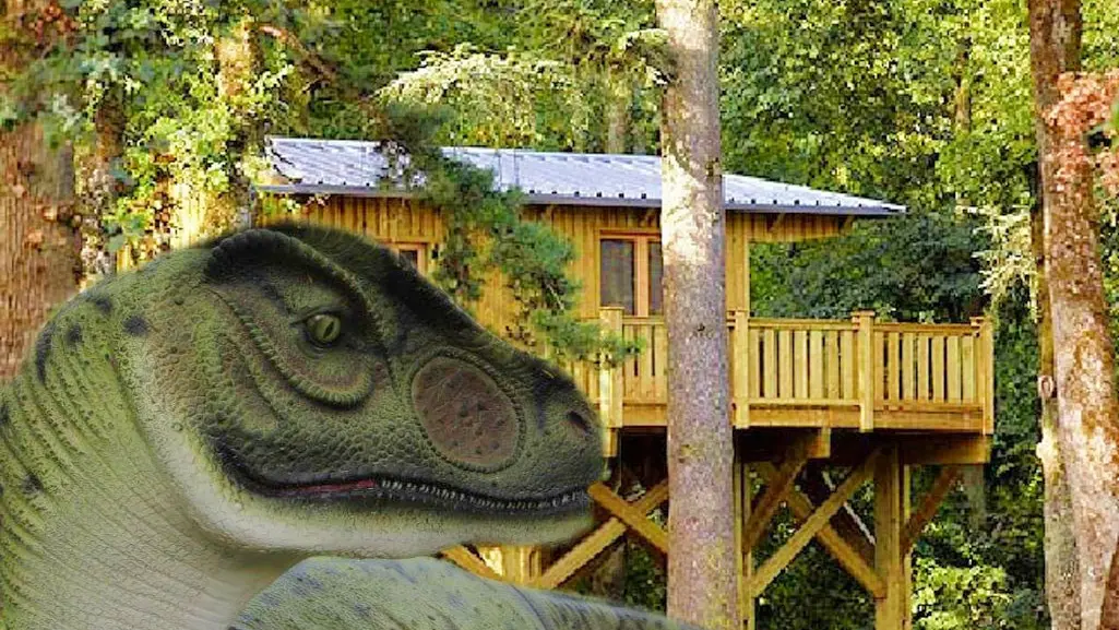 Cabane Jurassic