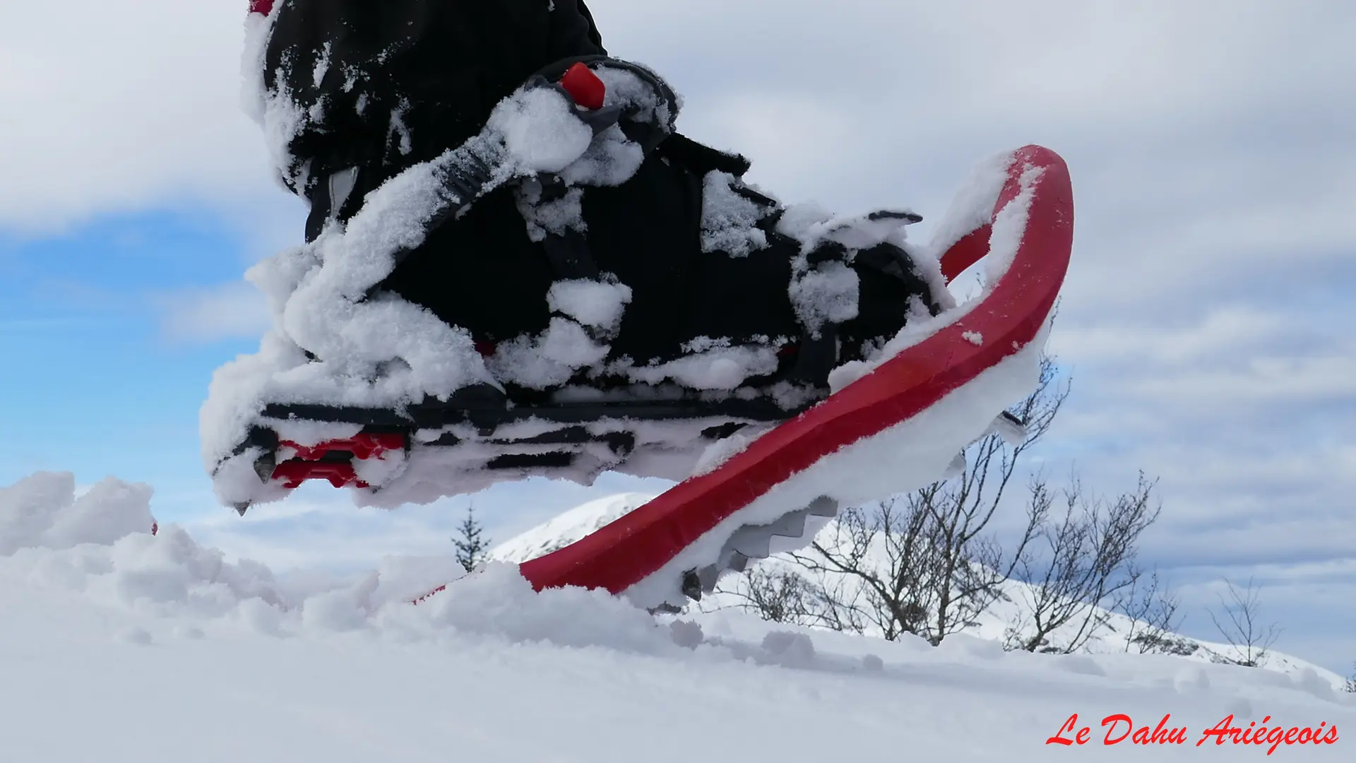 Raquettes à neige