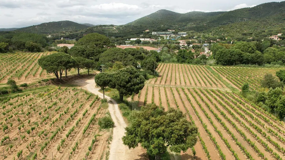 Le Clos de Ste Maxime 1