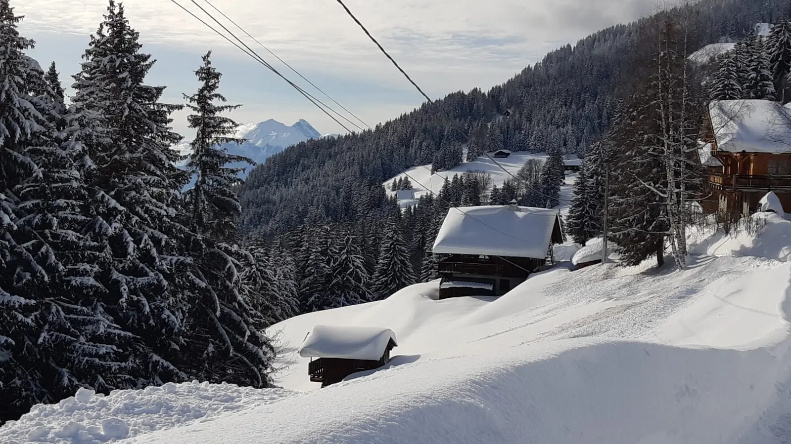 Vue du chalet nature