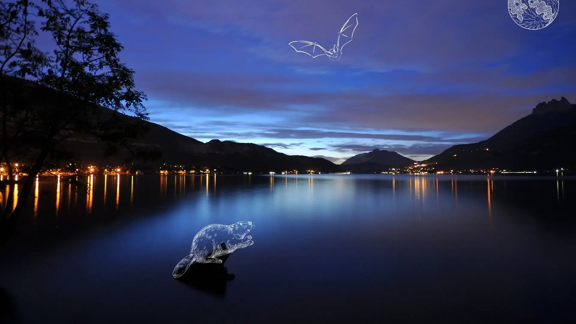 Sortie crépusculaire