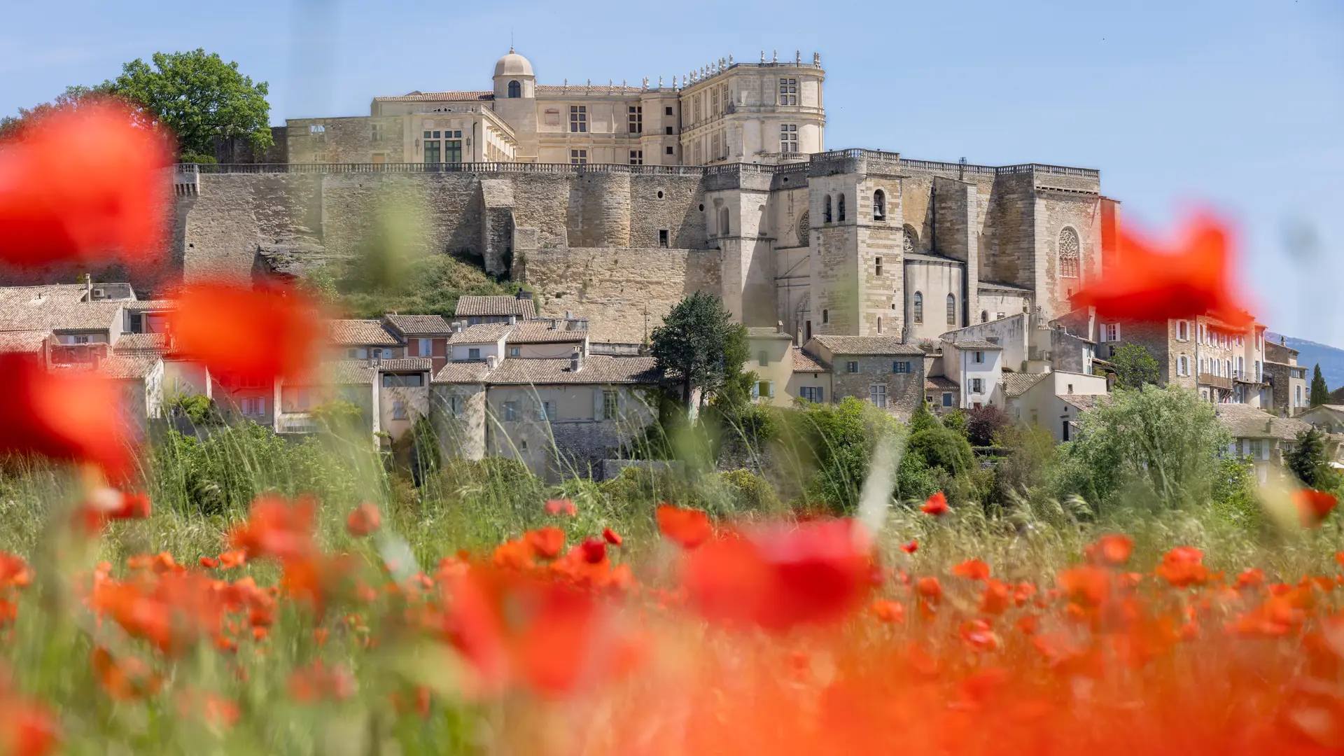 Vue de Grignan et coquelicots