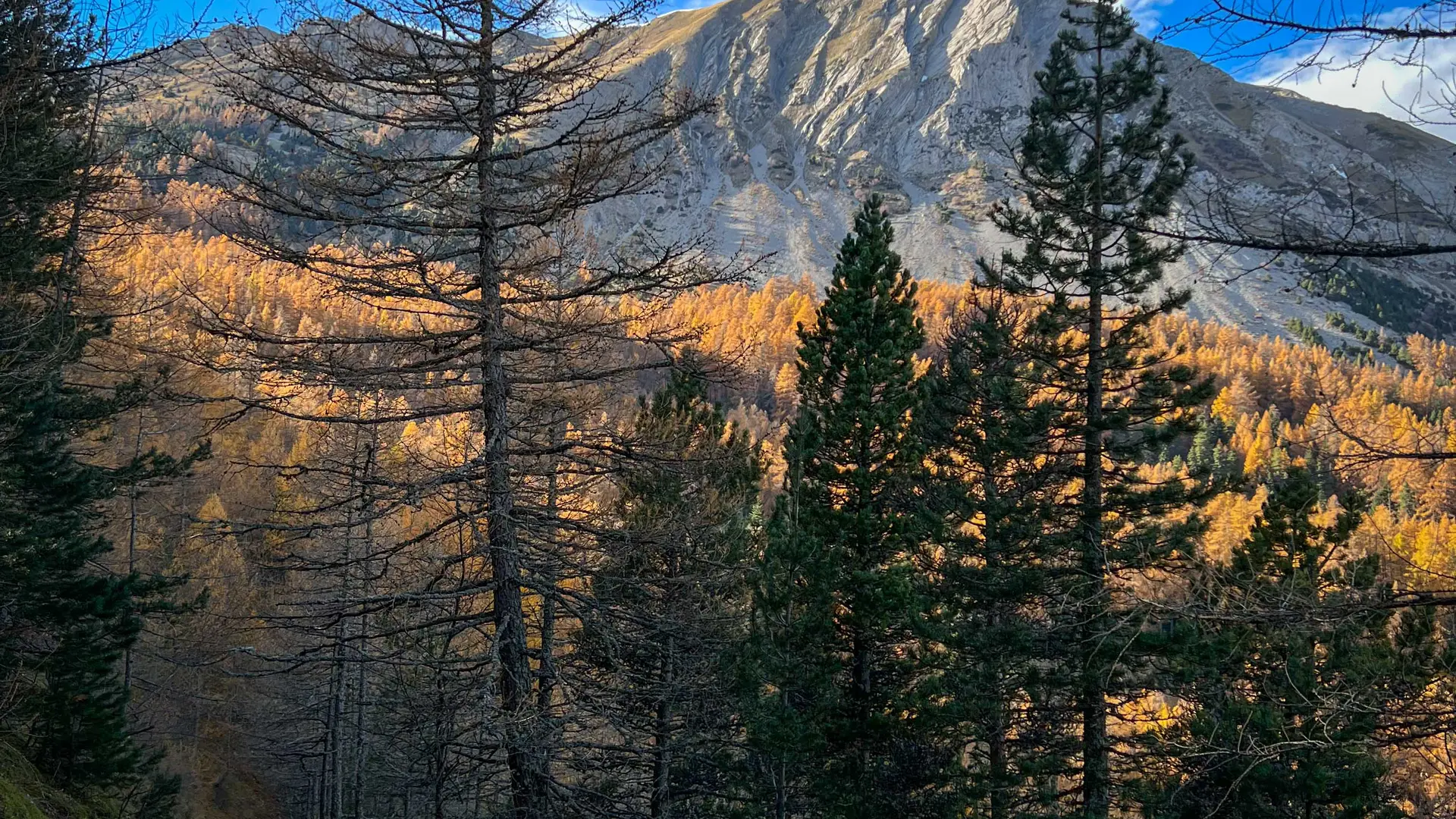 Vue sur le Pic de l'Aiguille depuis le sentier de la Cuque à Laye en automne
