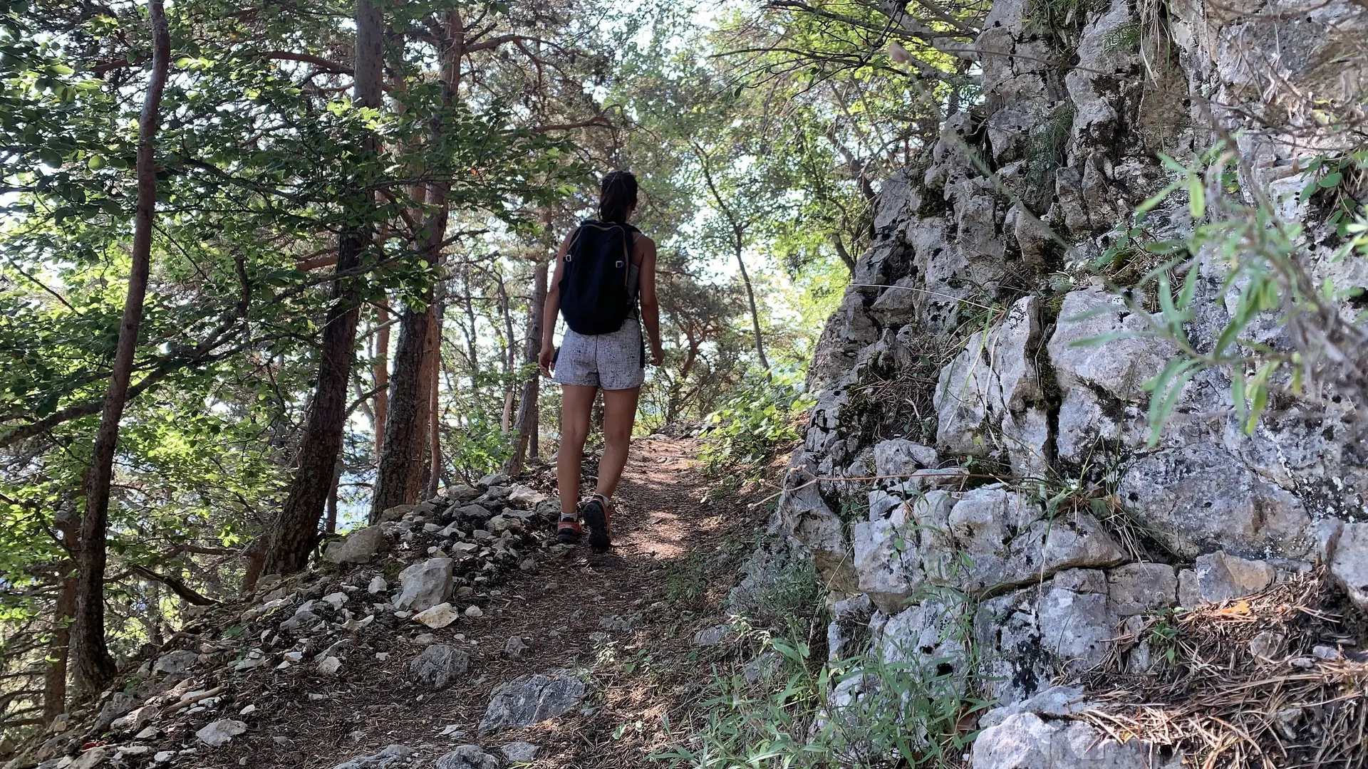 Sentier en sous bois