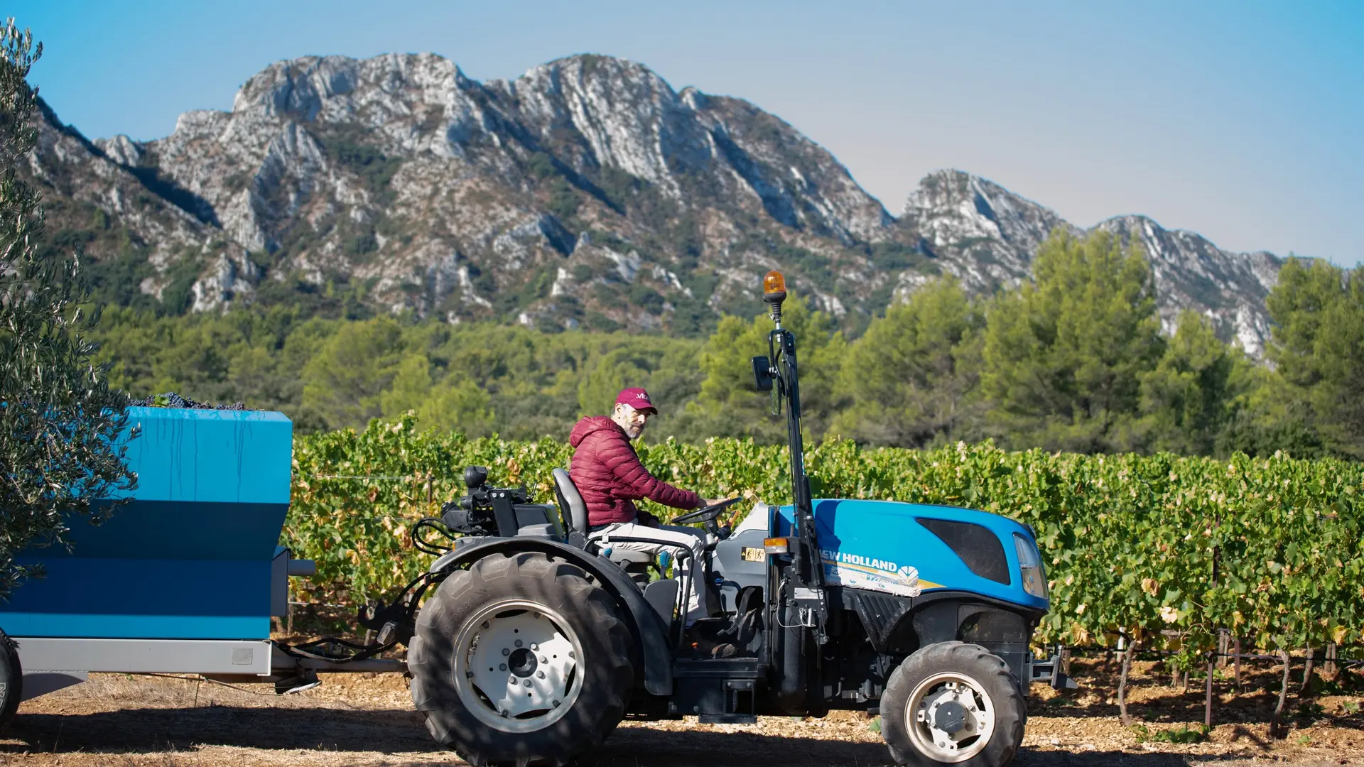 Domaine d'Eole, vignoble à Eygalières