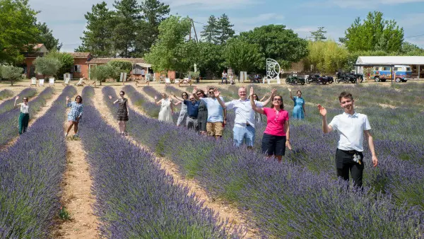 Circuit des lavandes et vignobles en sidecar : 2h,4h ou 6h (juin à septembre)