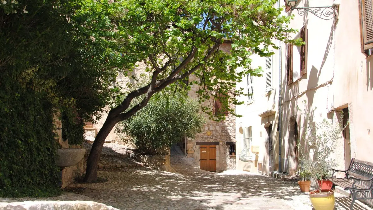 Promenade botanique