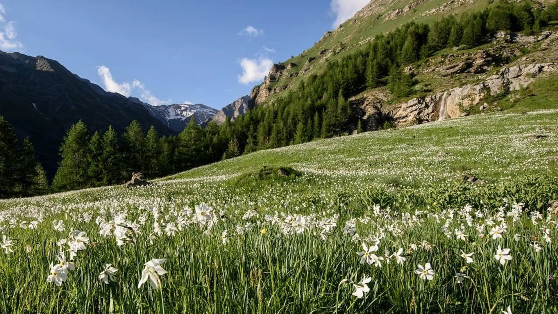 Sentier de l'Oussella