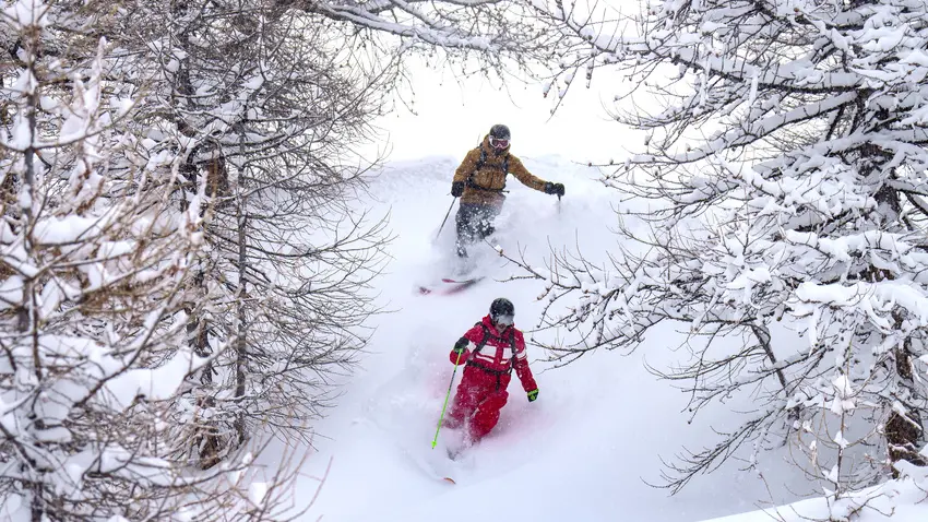 Sortie freeride dans la forêt