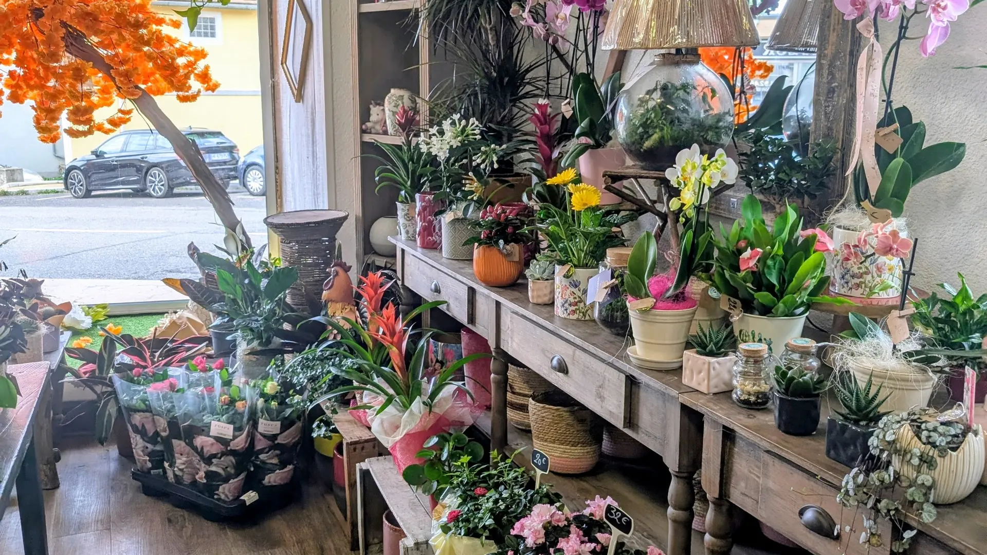 Ambiance Fleurs à Saint-Bonnet-en-Champsaur