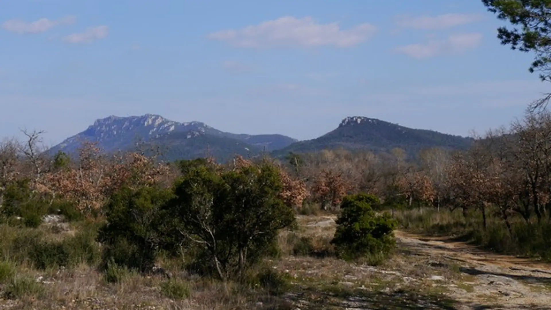 La vue sur le massif de la Loube