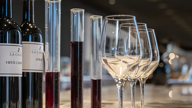 Atelier Ampélographie : de la vigne au vin à La Cavale - Cucuron_Cucuron